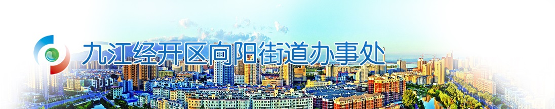 向阳街道办事处2019年面向社会公开 招聘社区工作人员公告